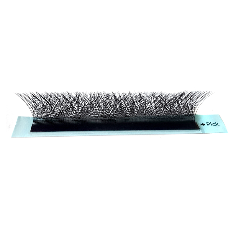 Clover W Eyelash Extension 3D  - Eyelash Extension Logo 评论和价格