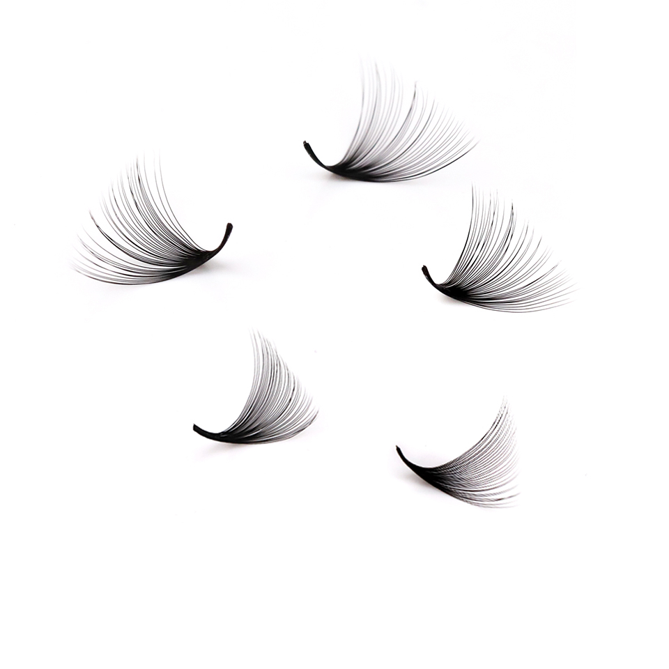 Lashprofessor XL Tray 3D 4D 5D - Eyelash Extension Review 评论和价格