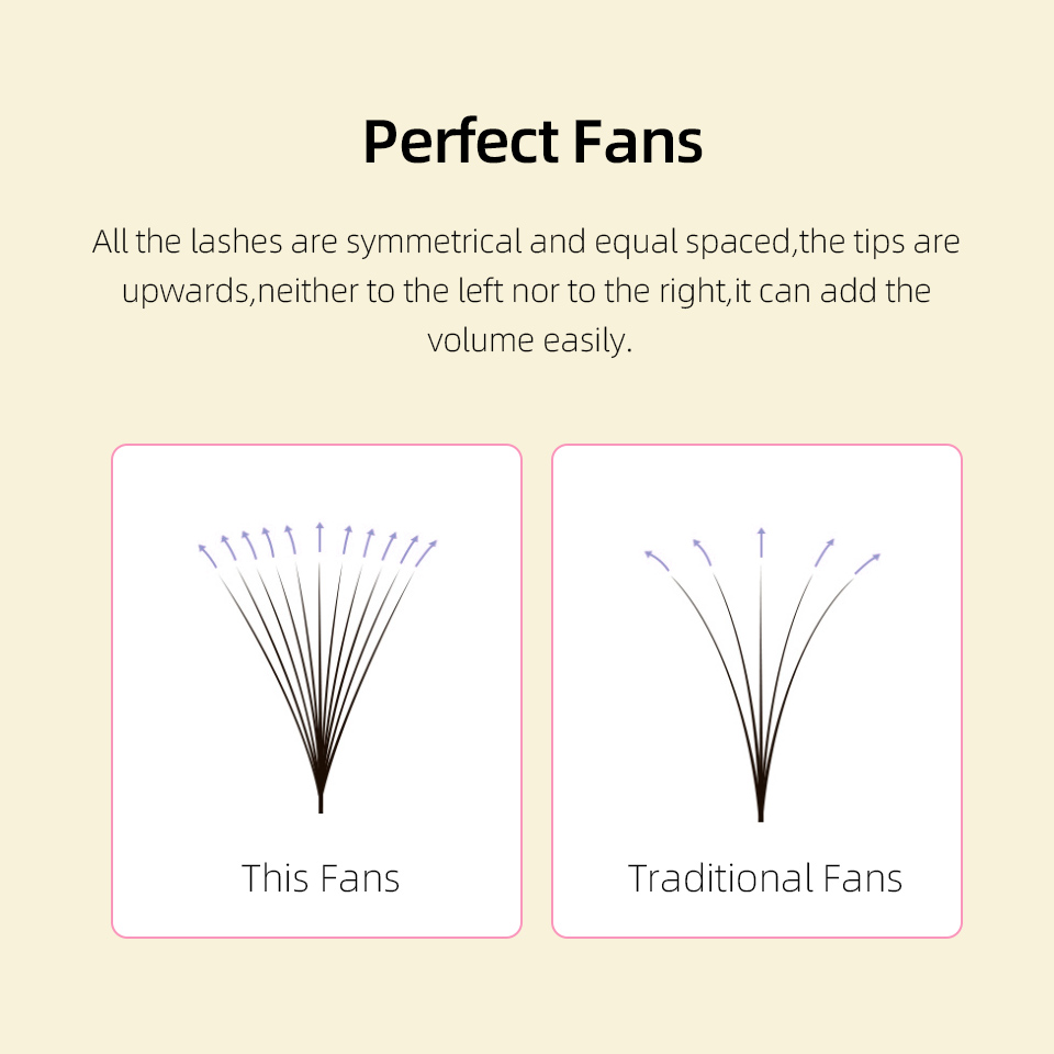 Lashprofessor XL Tray 3D 4D 5D - Eyelash Extension Review 评论和价格