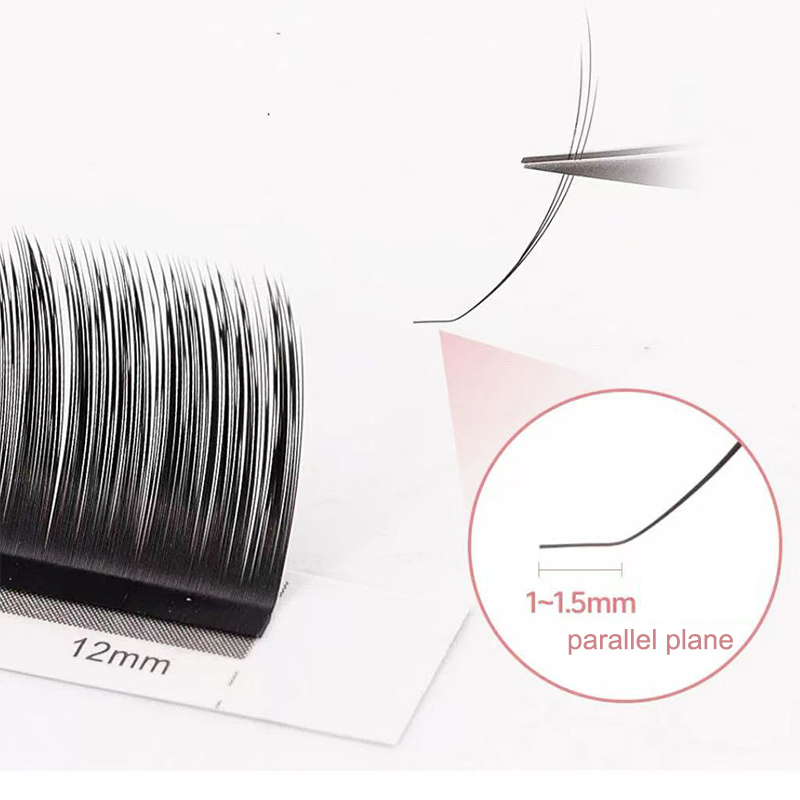 dream ballet Camellia Lashes w - Eyelash Extension Review 评论和价格