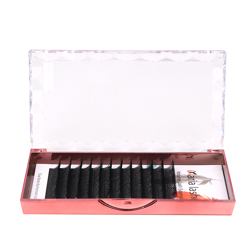 MARIA 10 Cases 4D W Shaped Bea - Eyelash Extension Logo 评论和价格